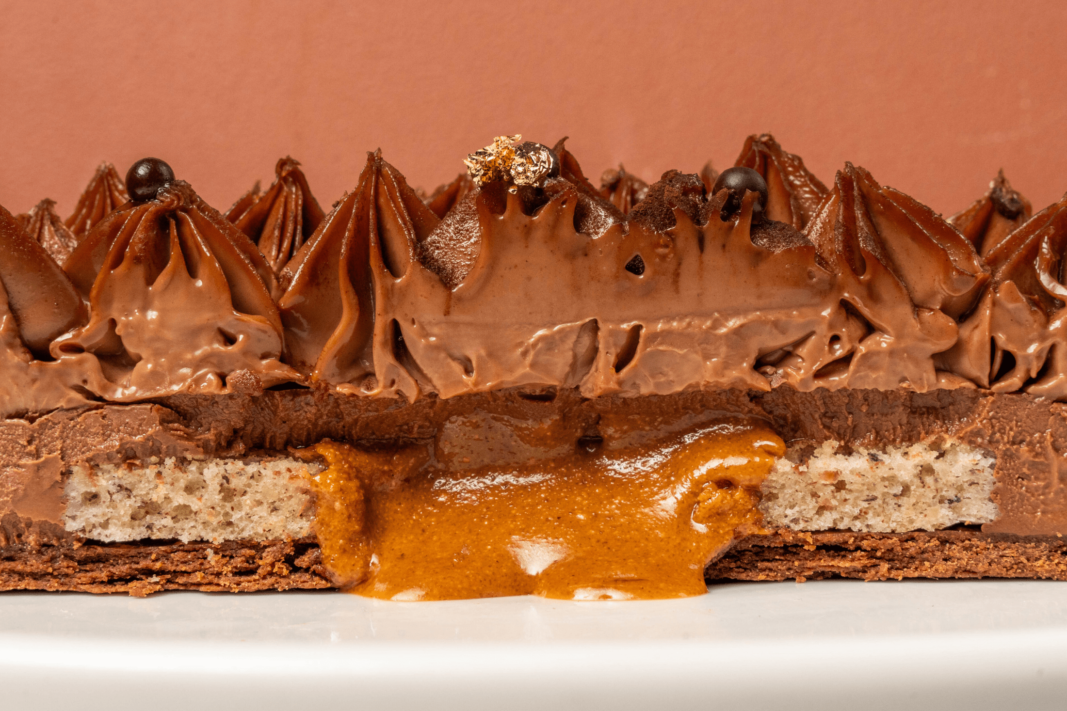 Chocolate Hazelnut Tart