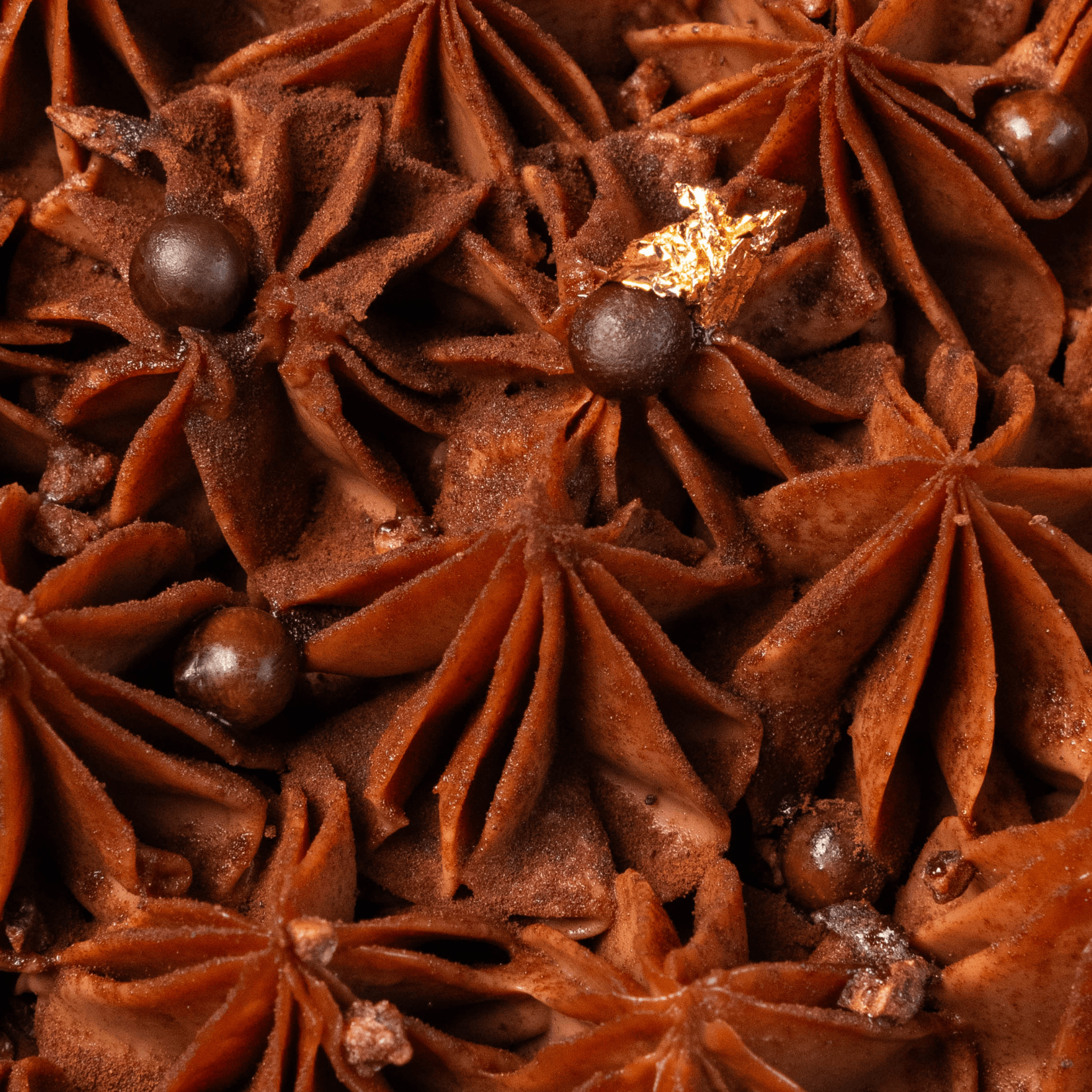 Chocolate Hazelnut Tart